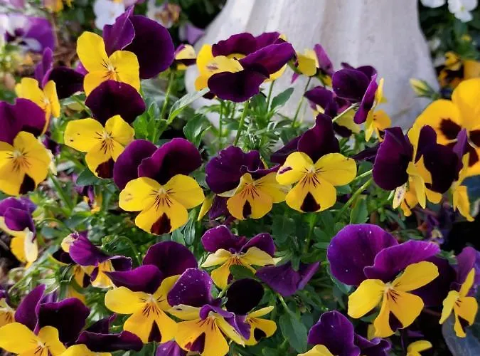 Lilli 2 Apartment Ferrara