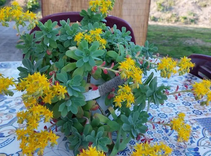 Apartment Lilli 2 Ferrara