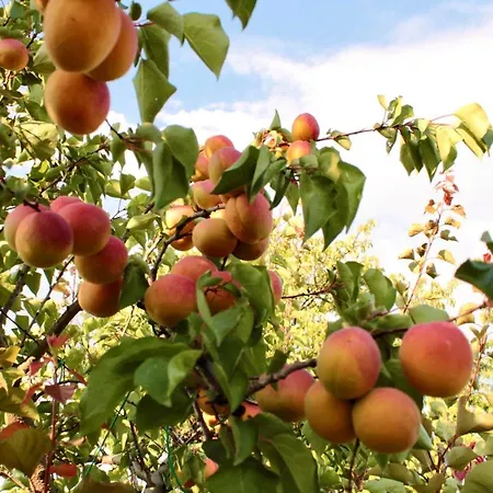 Lilli 2 Apartment Ferrara