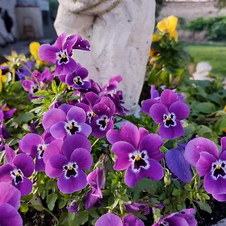 Appartement Lilli 2 Ferrare