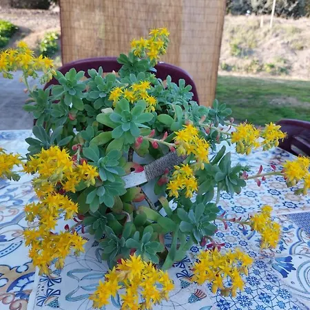 Appartement Lilli 2 Ferrare