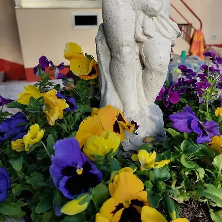 Lilli 2 Apartmán Ferrara