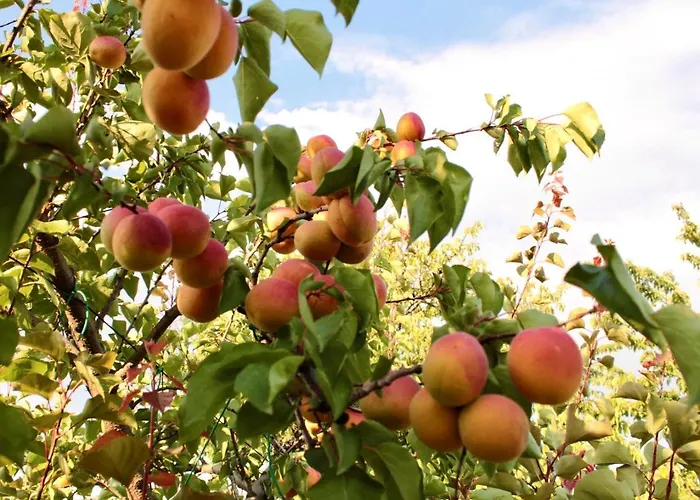 Lilli 2 Lägenhet Ferrara