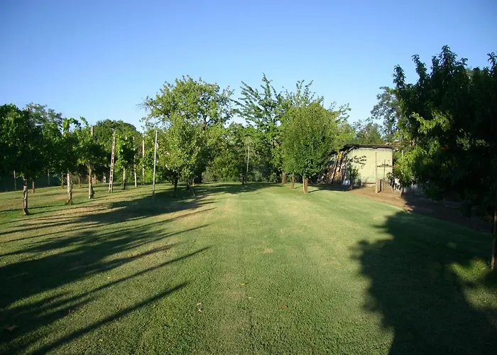 Lilli 2 דירה פררה