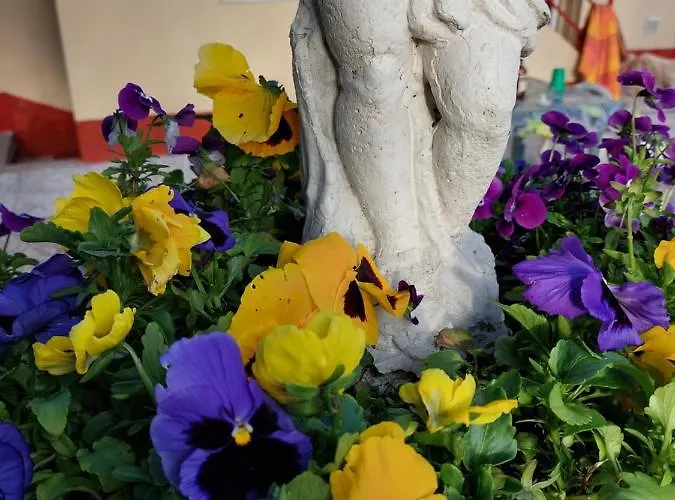 Lilli 2 公寓 费拉拉